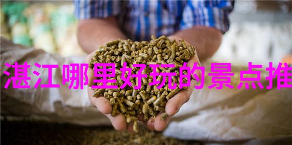老年旅游专列游-银发纵情探索老年旅行专列的魅力与便利