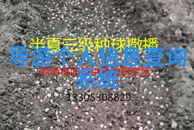 中国首个海岛旅游度假区天空之城海岛旅游度假区