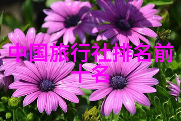 川藏线自驾游驾驭天路轻松省钱的智慧之旅