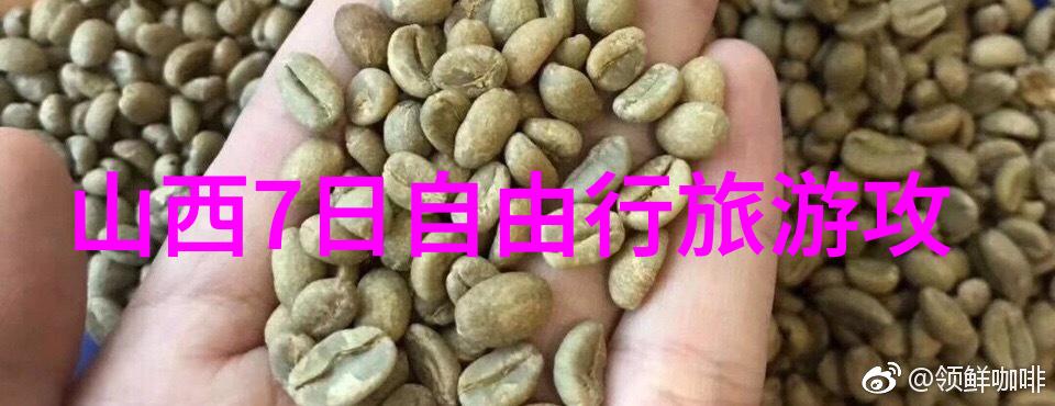 探秘答案背后的故事第十二季第四期揭秘