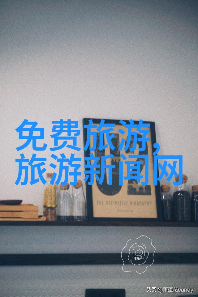 解瘾之旅探索花卷书中的自我救赎故事