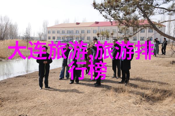 特务搜查官风子城市之暗影中的追踪者