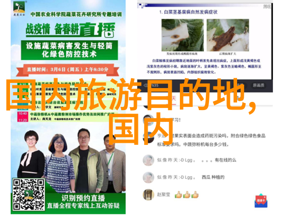 南京旅游景点推荐亲测好玩又不贵的5大必去地