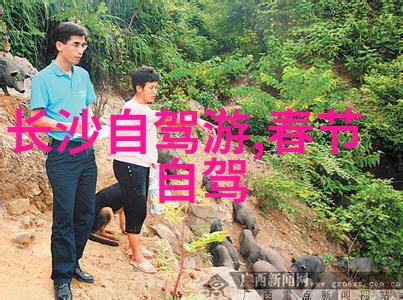成都自驾游之旅重庆青旅推荐与民宿选住