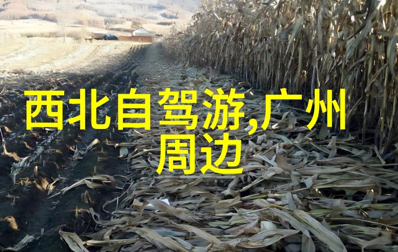 健康生活 每天骑车40分钟的功效增强心肺功能与减脂效果
