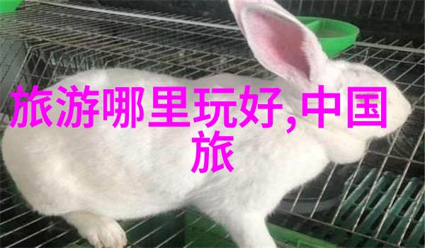 北京自驾游探秘古都背后的美丽乡村