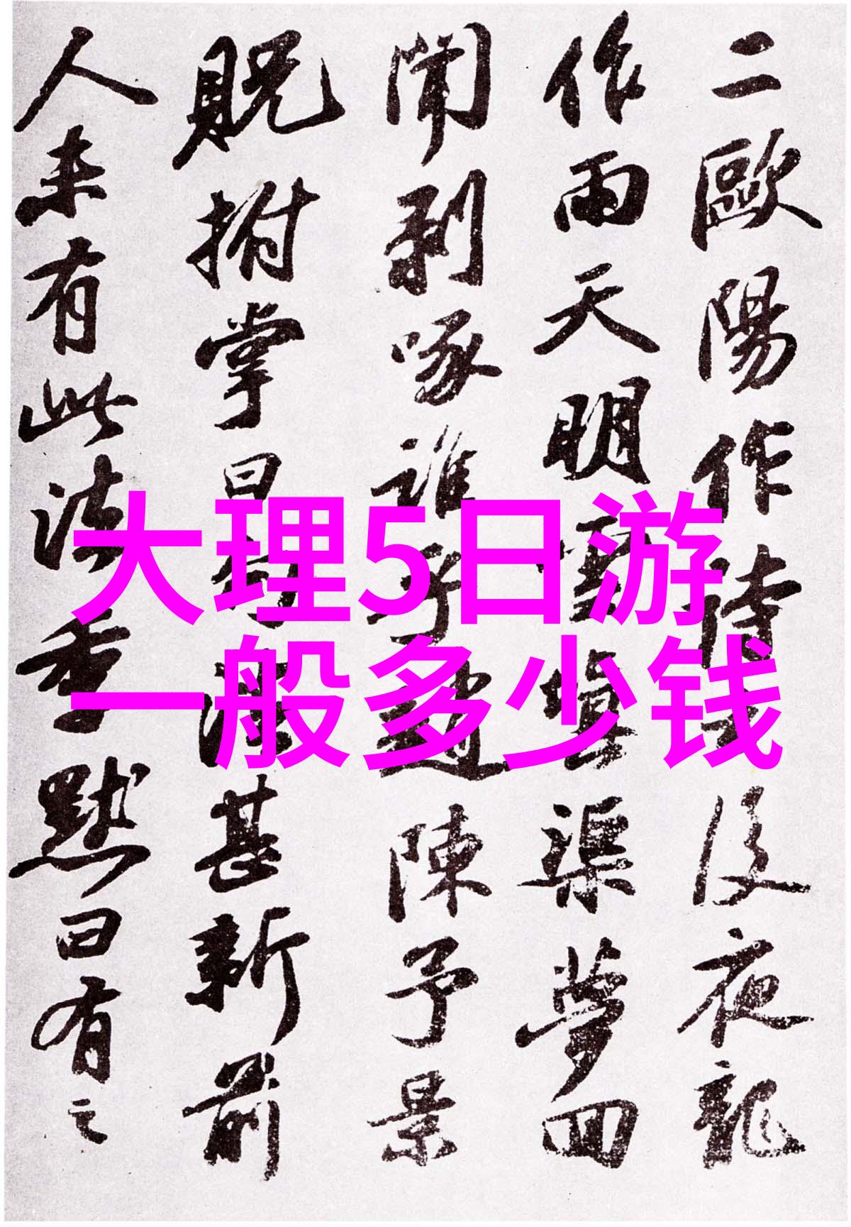 骑行20公里高强度训练的起点吗探索心率与体能的极限