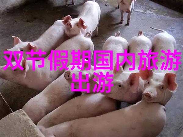 旅游线路特色分析亲测这趟旅行你不必担心走过的路再也不会重复