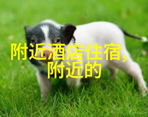自由行中的交通工具有哪些选择每种有什么优缺点