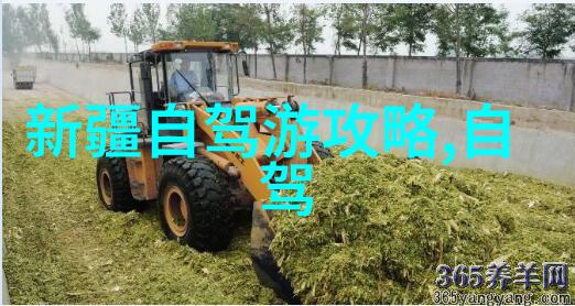 中国美食之旅地方特色美食与小吃的魅力探索