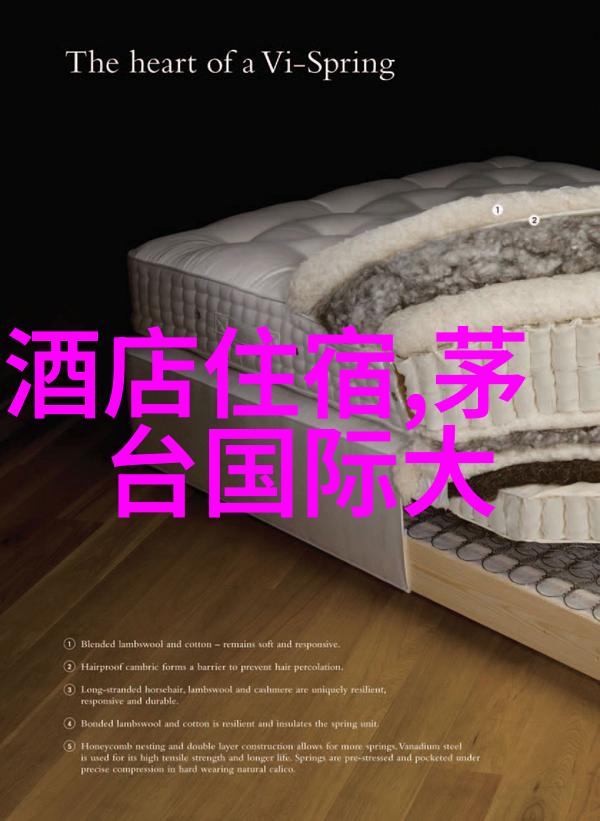 公交车诗洁城市之脉的悠扬歌声
