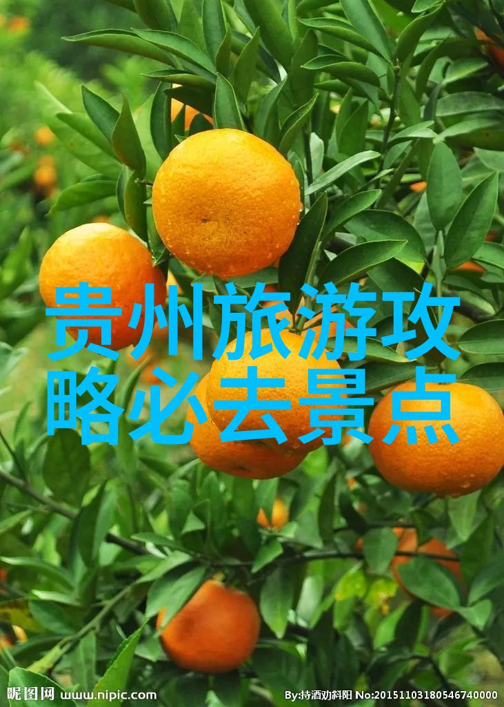 有没有什么是只在深夜才能看到的特殊景象或者活动
