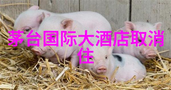 西藏之谜自驾游探秘藏北天山的秘境