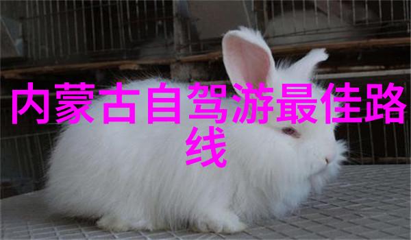 团队协作与欢乐相结合精心策划的公司小型团建活动方案