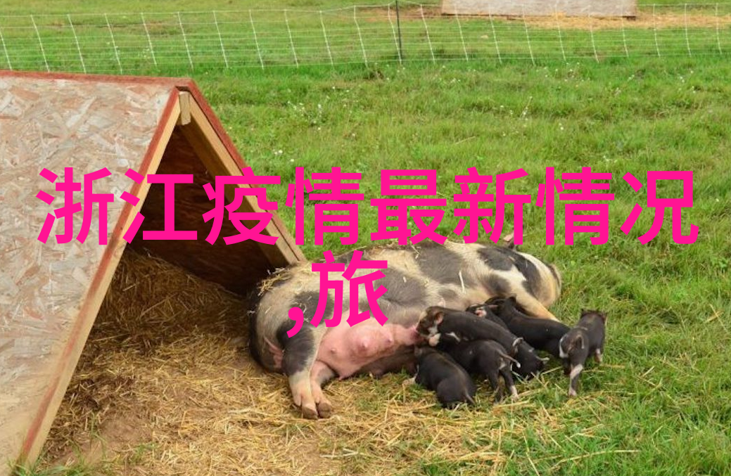 翻山越岭中班体育的冒险之旅