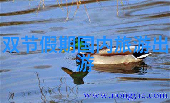 2022出国旅游新风尚夏威夷天体海滩裸晒新婚甜蜜