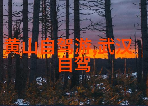 滇池之梦白帝城倾泻云南风华