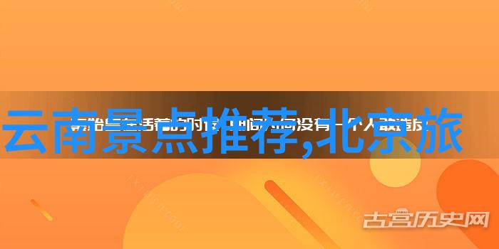 野外奇遇大班的小探险家们