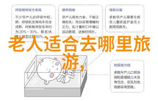 襄阳旅游攻略探索历史与文化的双重奏鸣