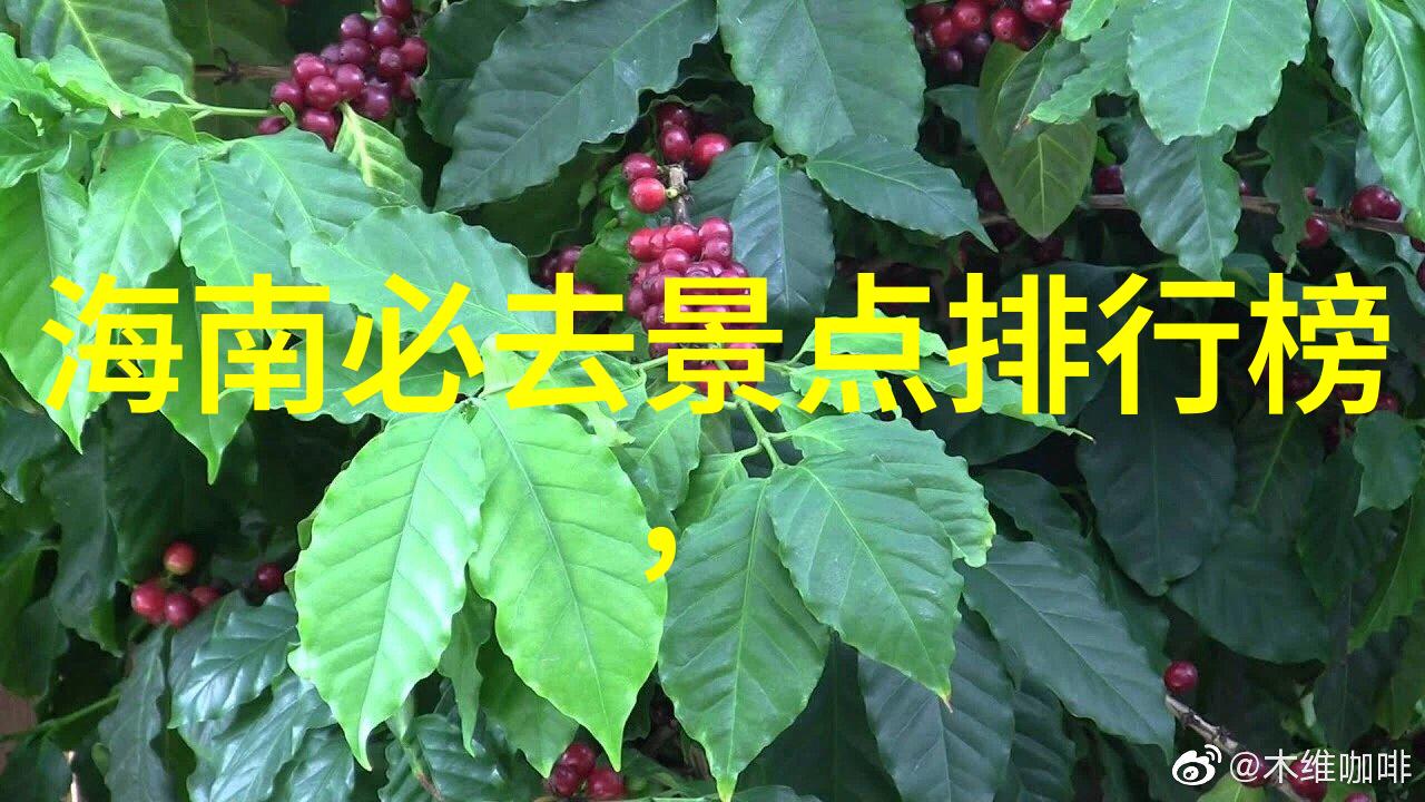 云南纯玩跟团游报价揭秘大理洱海丽江古城的旅行秘密花园
