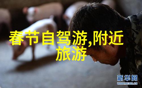北京景区十大排名最好玩的地方故宫长城天安门广场大运河中山公园颐和园798艺术区南锣鼓巷小明角街后海