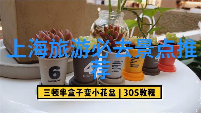 探秘獐岛乐土一日游指南与花费预算
