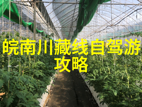 在青海可以徒步到哪些神秘古迹探险呢