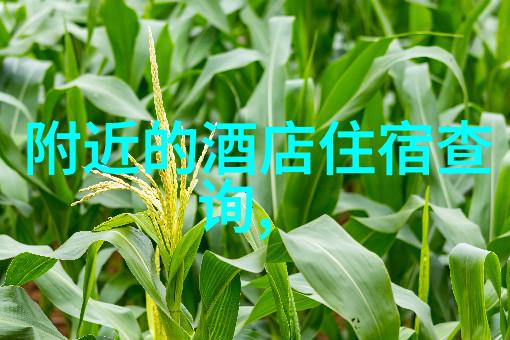探秘保山揭秘云南大理的自然奇迹与文化遗产