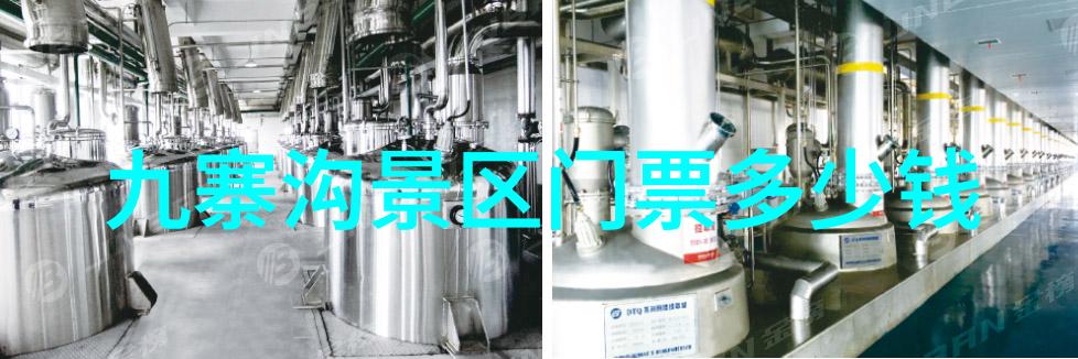上海住宿的舒适与实用满足不同需求的居住标准