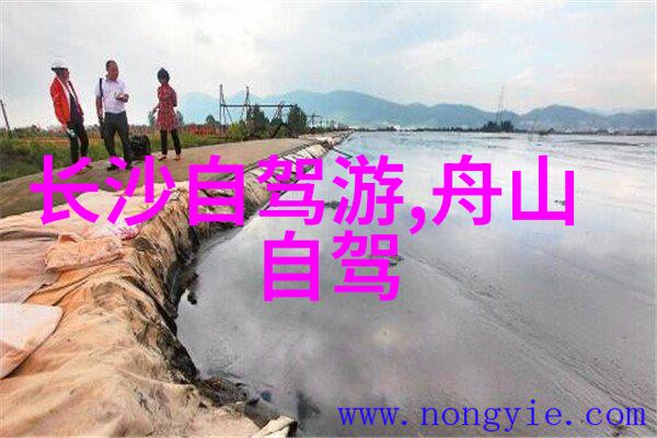 沙雕哲学以100个问题探讨人生智慧