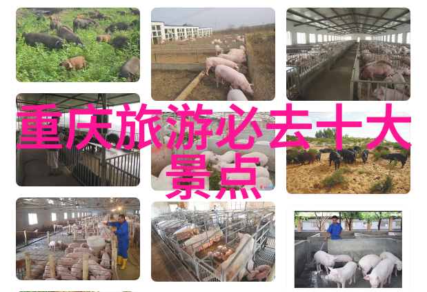 西湖畔的足迹杭州周边自驾游探秘