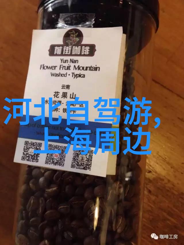 穿越时空的旅途我的游记之旅