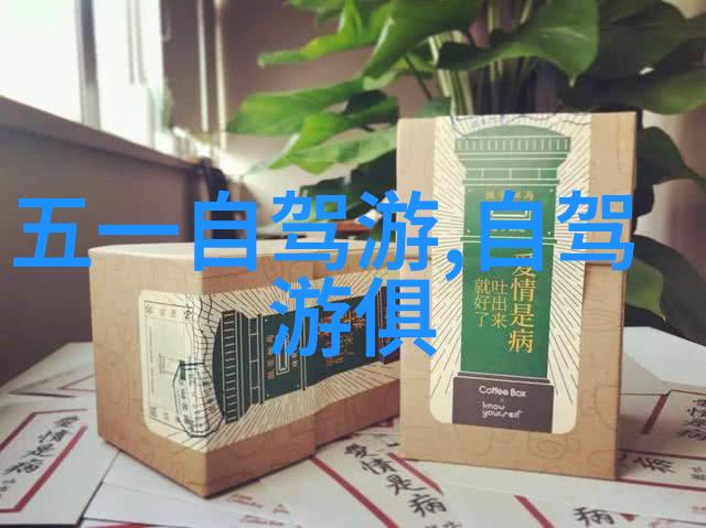 华山探险安全第一的集体活动