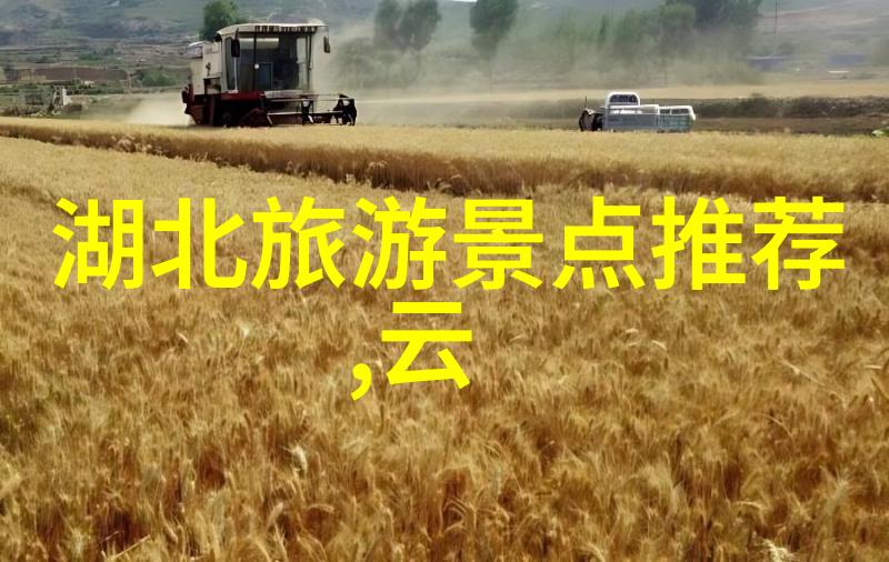 一碗浓郁的历史品味成都的红油牛肉面
