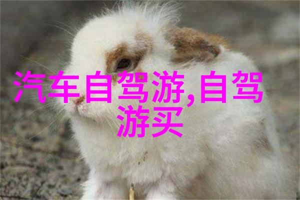 你准备好迎接河北冬日冰雪节了吗来看看有哪些活动