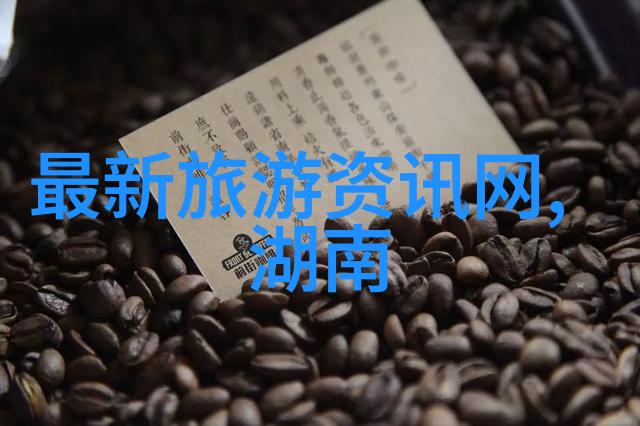 幼儿园户外探索魔法森林的100个秘密任务