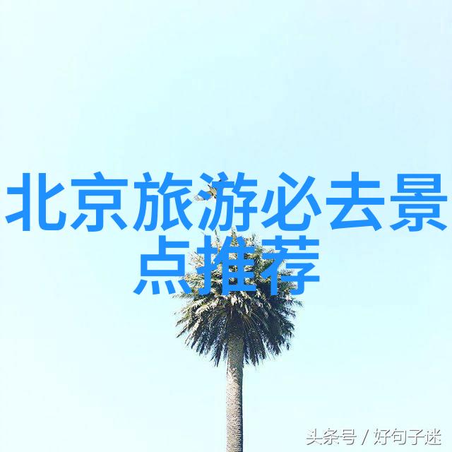 中国美食的魅力揭秘小吃排行榜中的经典之选