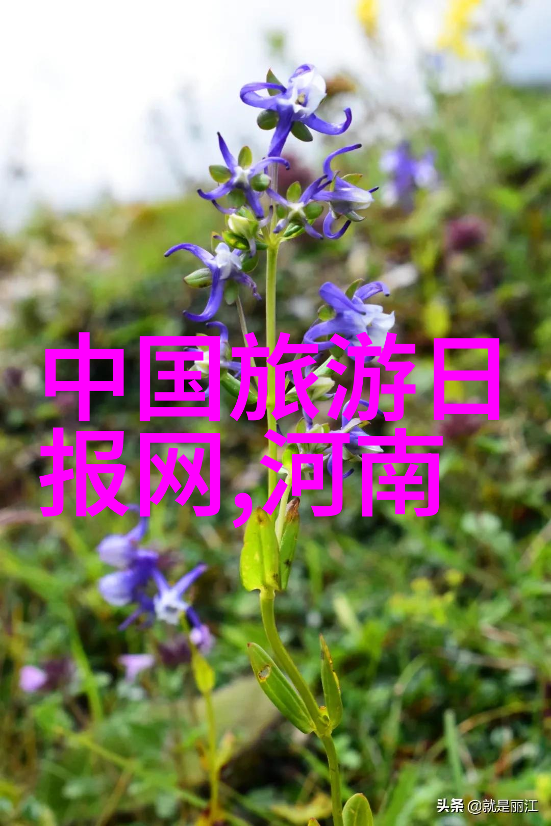日陆军医院旧址