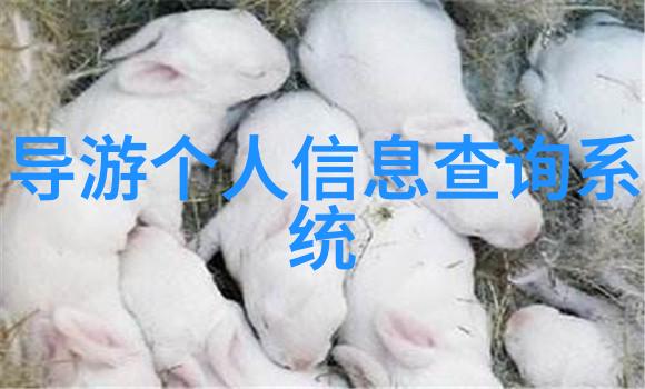 对于新毕业生来说旅游局是否会优先考虑专业相关的学历