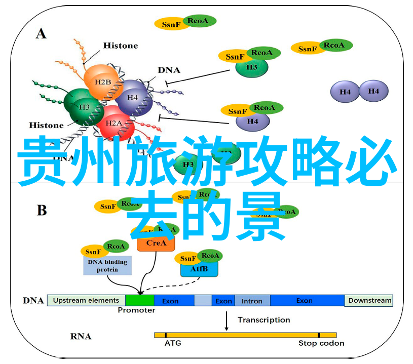 胶州古城深度游览指南