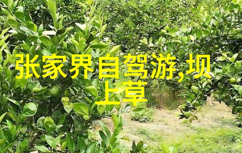 骑行环中国最佳路线图-绕中游揭秘最美骑行环中国的精选路线