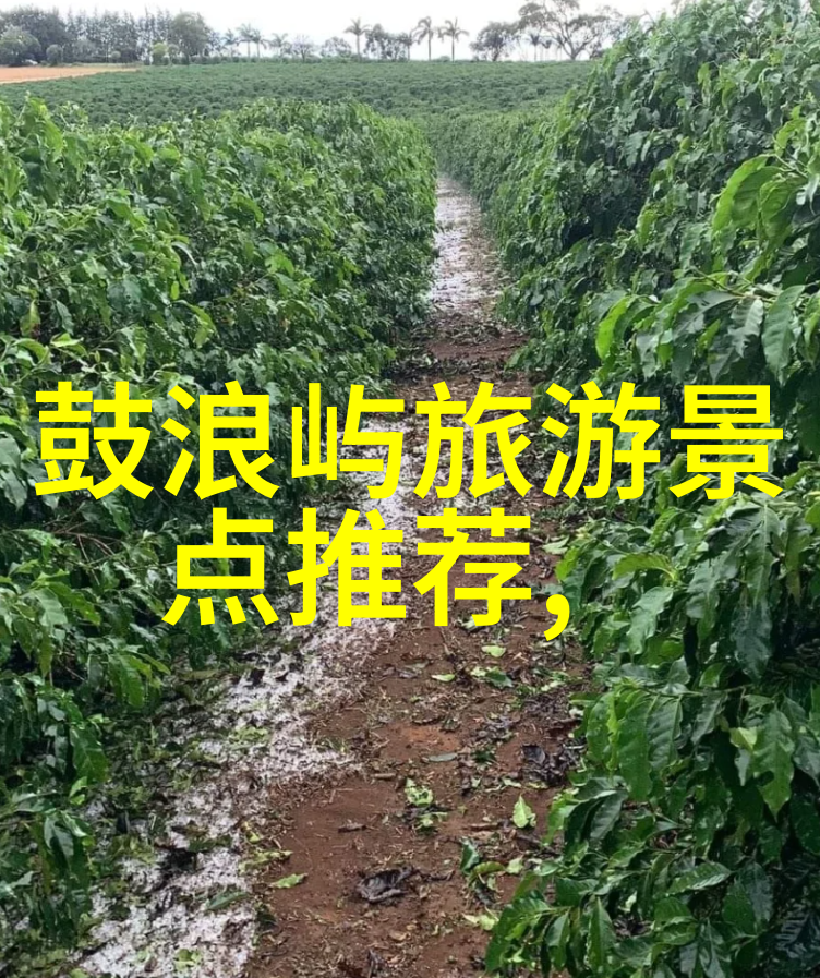 校园游记青春足迹与回忆里的时光机