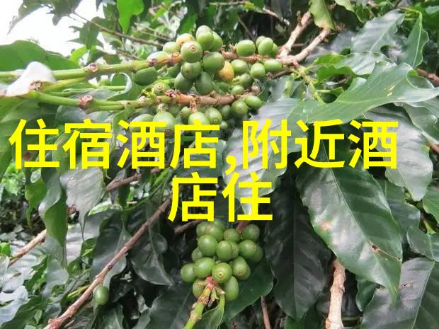 探索湘魂湖南5天游记指南