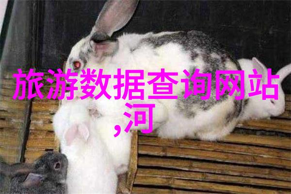 西安古都的悠扬足迹一篇400字游记