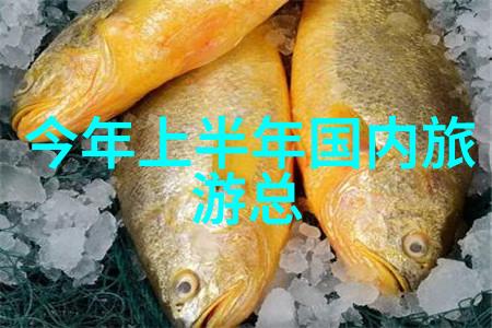 上海三日游犹如探秘古城的奇妙旅程