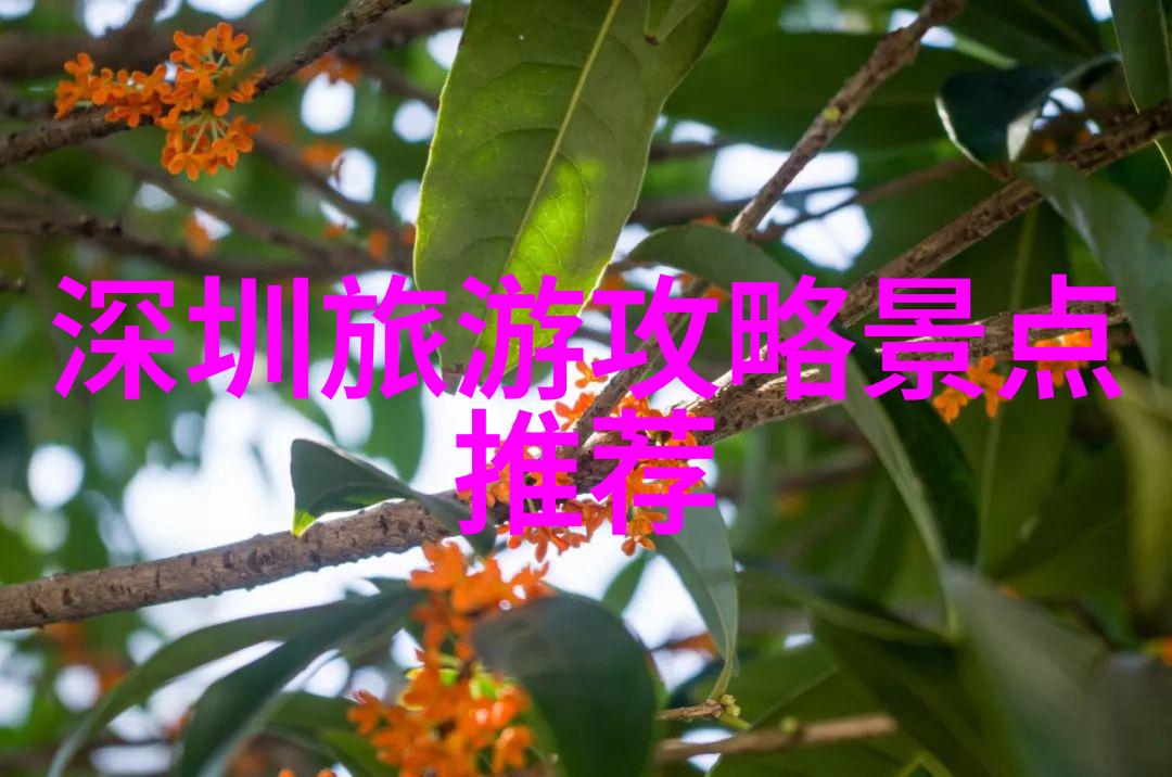 什么小吃比较火爆摆摊我来告诉你这段街头巷尾的热点美食