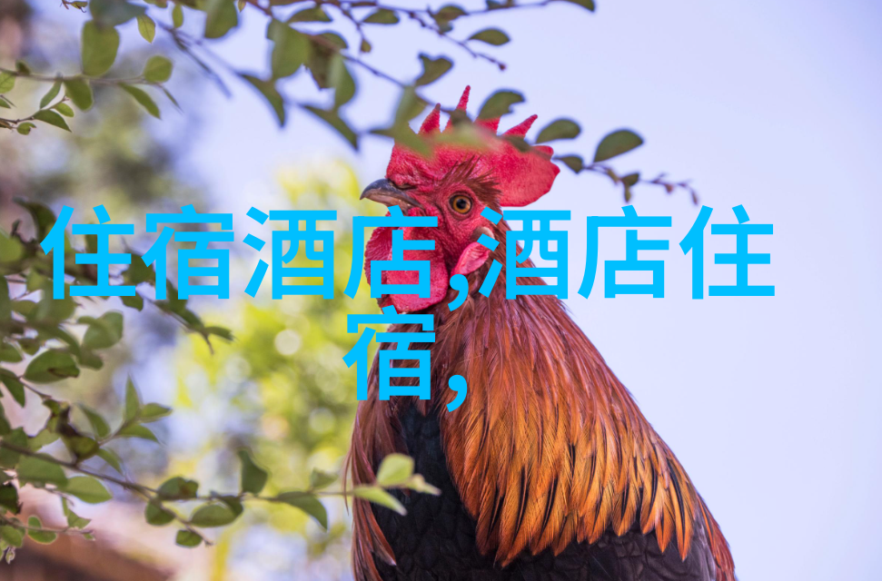 石家庄周边游自驾游一日游探秘燕郊古城与滹沱河畔的美丽风光