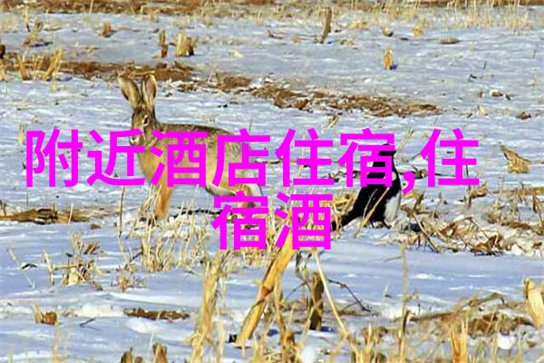 旅行社三日游线路报价您准备好揭秘这趟神秘之旅的真实成本了吗