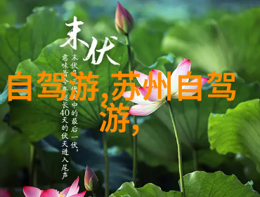 全城热议蓝色天空项目将为你呈现未来的城市交通新篇章- 详解