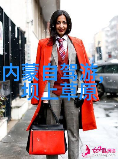 奇怪的美沙拉龙古怪生物的海洋冒险
